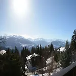 Feline A Avec Vue Sur Les Alpes * Anzère