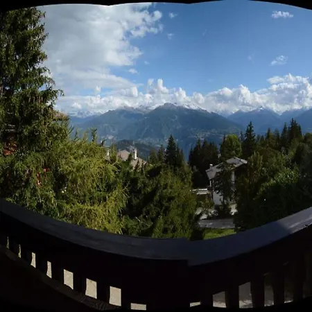 Feline A Avec Vue Sur Les Alpes *