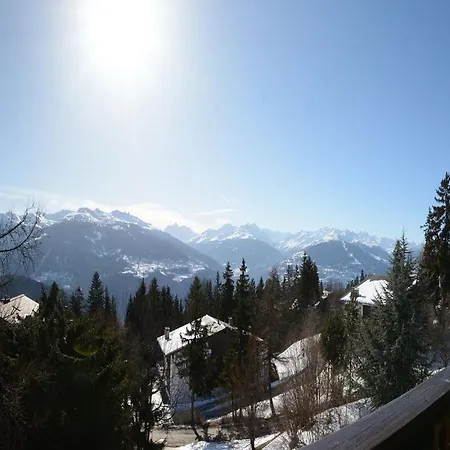 Feline A Avec Vue Sur Les Alpes * Anzère