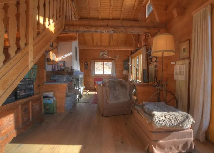 Feline A Avec Vue Sur Les Alpes * Anzère