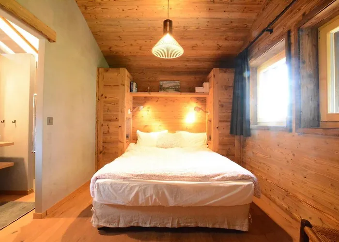 Feline A Avec Vue Sur Les Alpes * Anzère