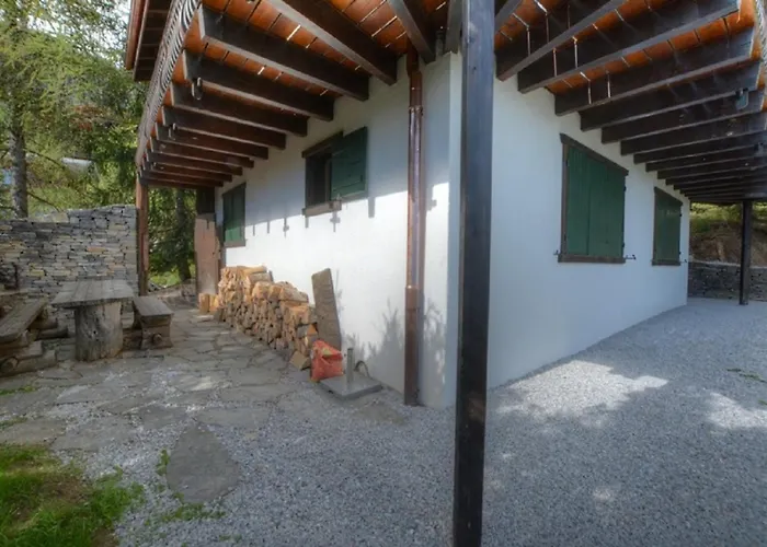 Feline A Avec Vue Sur Les Alpes * Anzère