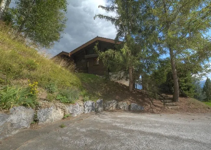 Feline A Avec Vue Sur Les Alpes Anzère